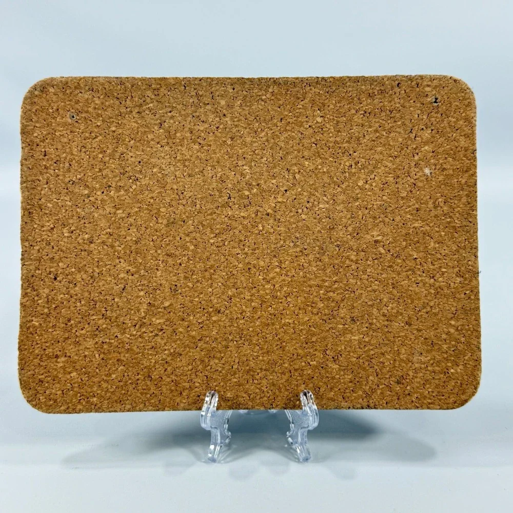 VTG Apple Harvest Cork Placemat Hot Pad‎ Small Multicolor Country Cottagecore
